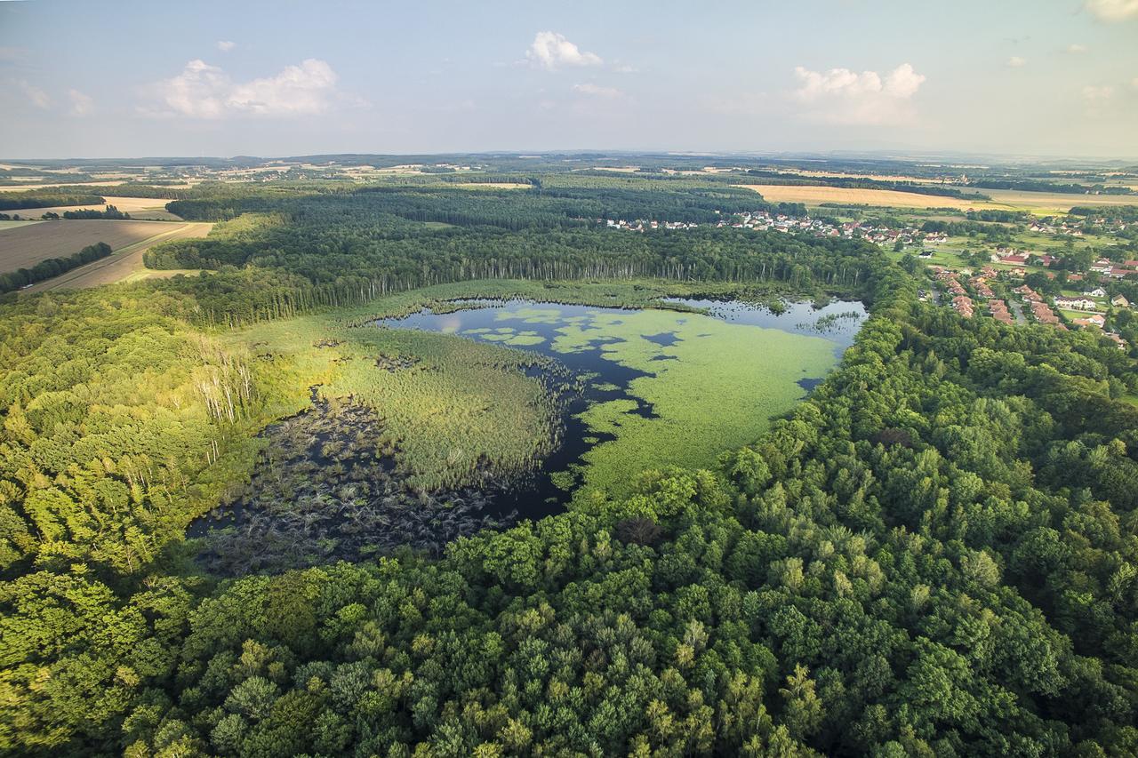 Palac Lagow Zgorzelec Exterior foto